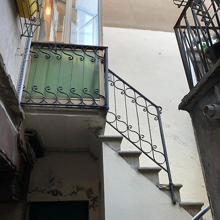 Eagle'S Nest Venice Guest House Extérieur photo