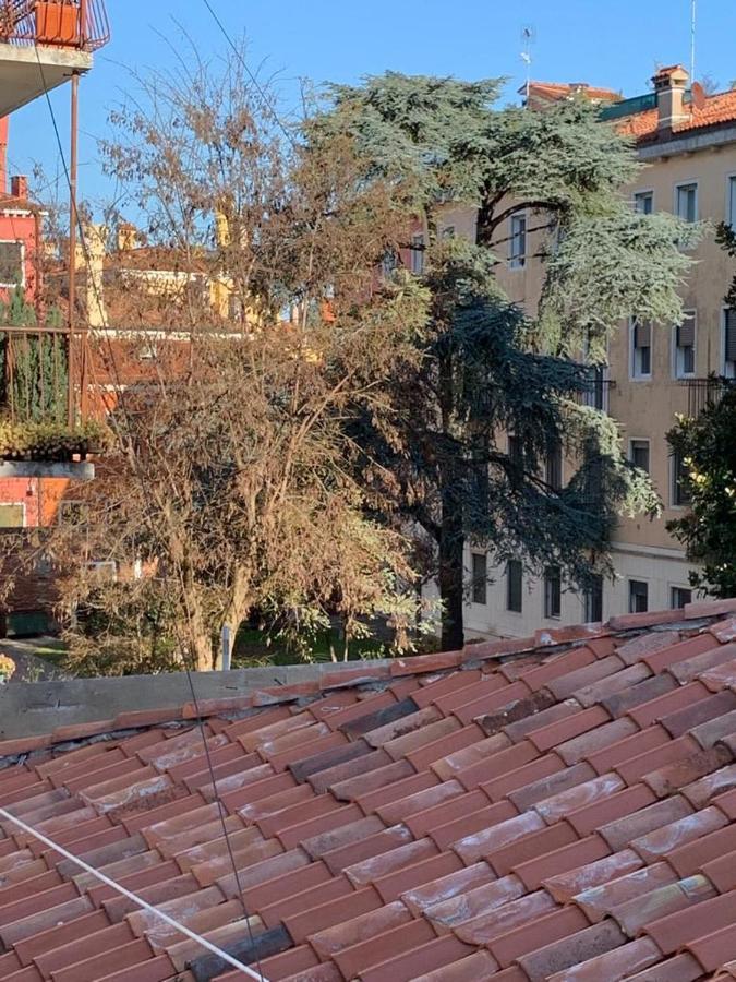 Eagle'S Nest Venice Guest House Extérieur photo